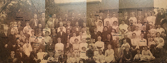 Holobauch Brown Reunion 1910